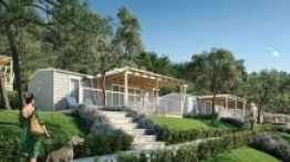 Happy Dog Premium Village to idealne miejsce dla podróżujących z czworonogami - zdjęcie 4